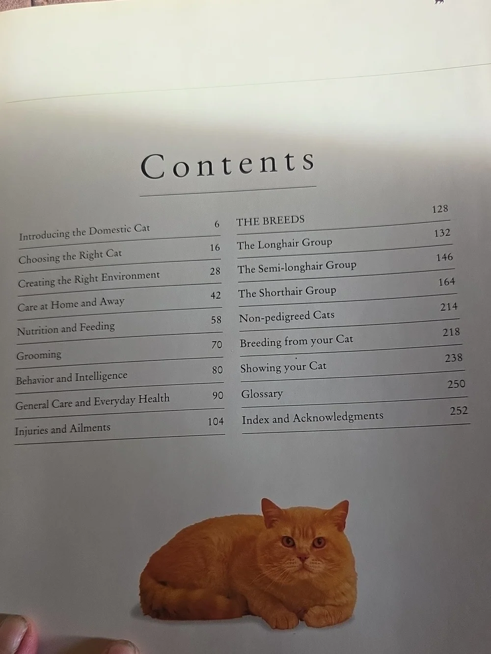 The Ultimate Encyclopedia of Cats: Cat Breeds & Cat Care — Beige Cover